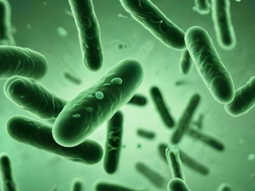 Svjetski dan borbe protiv tuberkuloze: Potrebno snažno liderstvo država, ulaganja i inovacije