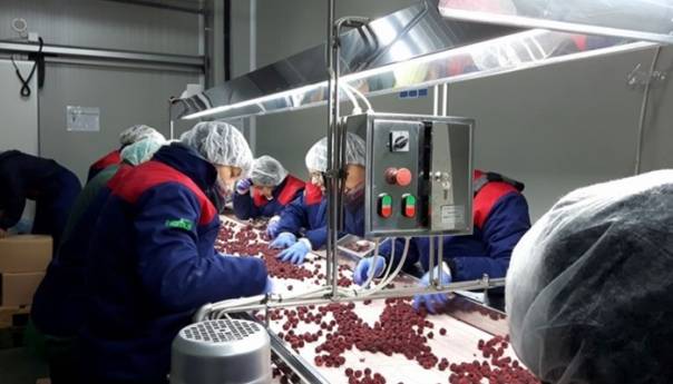 Svjetski dan sigurnosti hrane uz slogan 'Sigurnost hrane je zajednički posao'