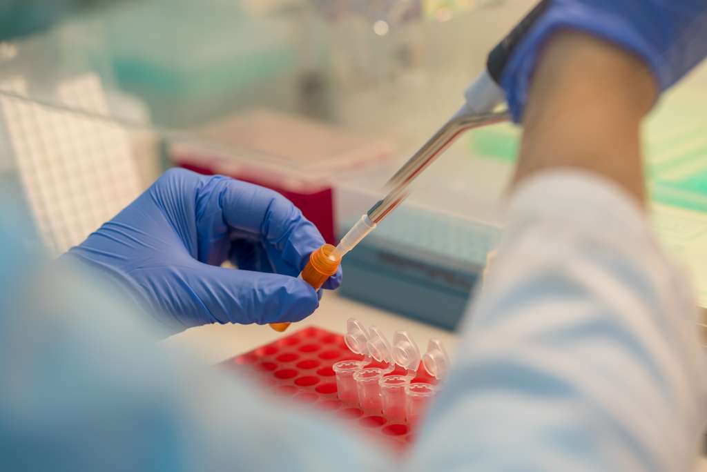 SZO savjetovao Ukrajini da uništi istraživačke patogene u svojim laboratorijama