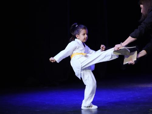 Taekwondo klub Nur već 20 godina sija na sportskom nebu BiH