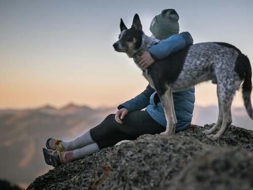 Talijanski grad uvodi porez na pse: Važi i za turiste