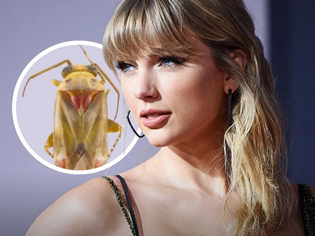 Taylor Swift dobila neobičnu čast: Novi rod insekata nazvan po popularnoj pjevačici