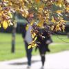 Temperature danas do 27 stepeni, stižu kiša i lokalni pljuskovi