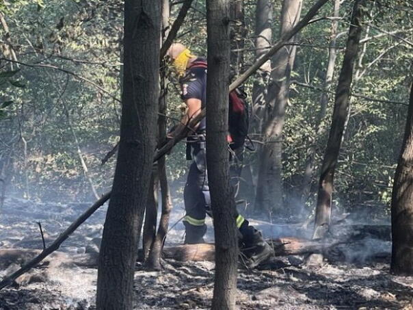 Teška noć kod Trebinja: Vatrogasci odbranili sela, borba se nastavlja
