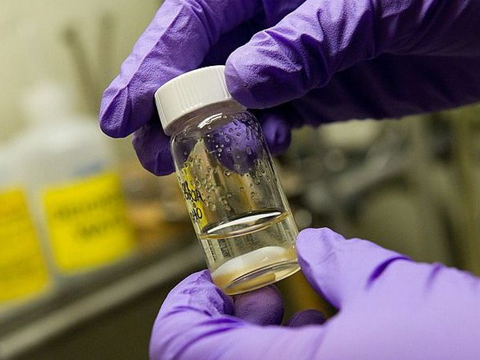 Testira se univerzalna vakcina: Štiti od prehlade, gripa i kašlja