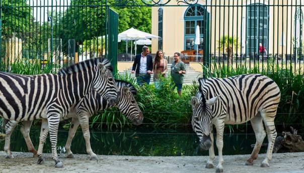 Tiergarten Schönbrunn ponovo proglašen najboljim zoološkim vrtom u Evropi