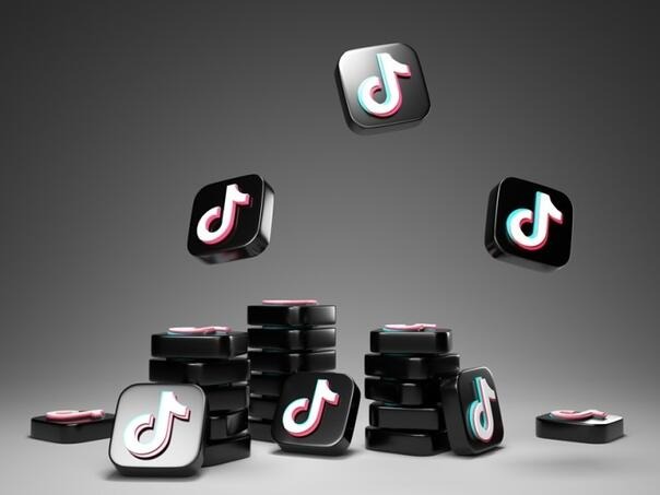 TikTok i Instagram nisu za djecu ispod 15, poručuju nizozemske vlasti
