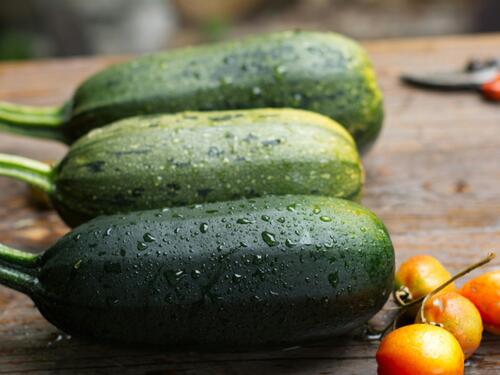 Tikvice uspijevaju i na balkonu – važno je znati šta im prija