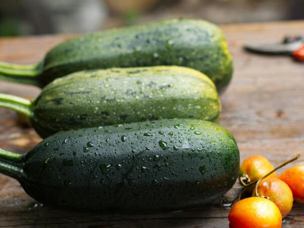 Tikvice uspijevaju i na balkonu – važno je znati šta im prija