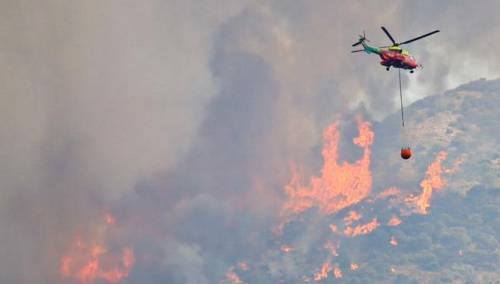 Toplotni udar: Preko 1.000 mrtvih u Španiji i Portugalu