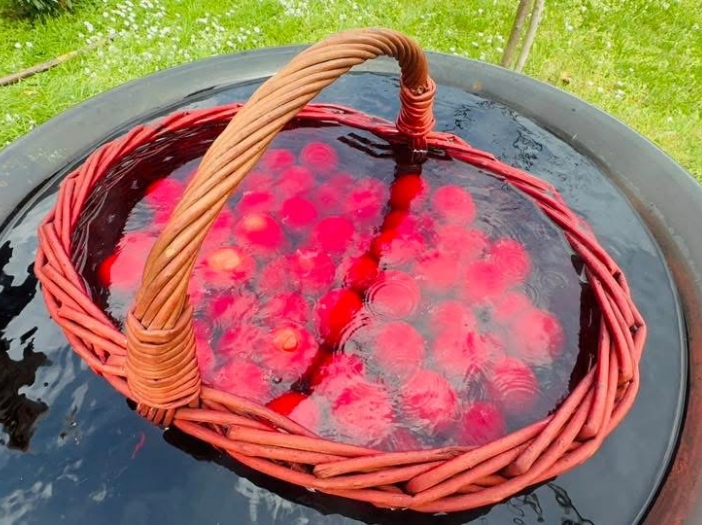 Tradicija farbanja vaskršnjih jaja u Tuzli: Vjernici farbaju oko 1000 jaja i dijele na Vaskrs