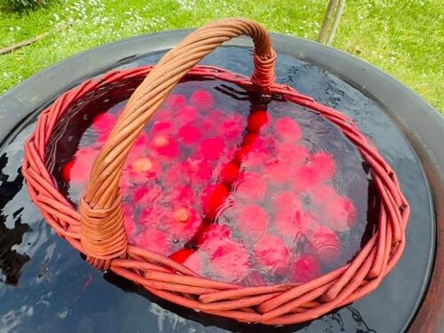 Tradicija farbanja vaskršnjih jaja u Tuzli: Vjernici farbaju oko 1000 jaja i dijele na Vaskrs