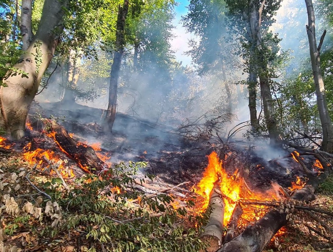 Tragedija kod Tuzle: U požaru stradao 80-godišnji muškarac