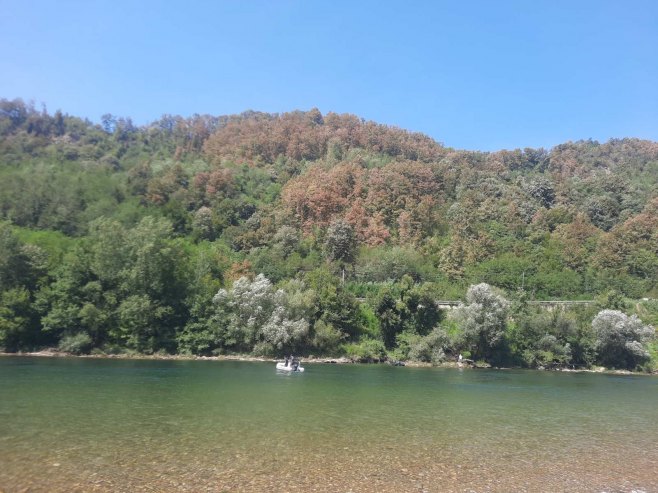 Tragedija u Bijeljini: Žena se utopila u Drini