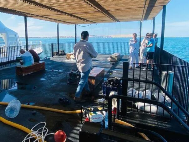 Tragedija u Egiptu: Stravični snimci i borba za preživljavanje