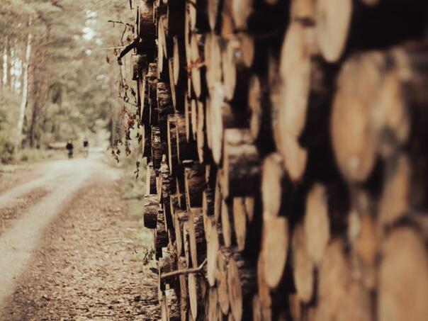 Tragedija u Mrkonjić Gradu: Muškarac poginuo u sječi šume