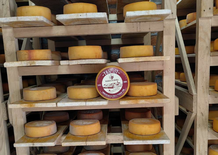 Trapist iz BiH: Priča o siru koji je obišao svijet