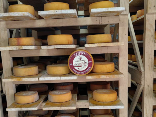 Trapist iz BiH: Priča o siru koji je obišao svijet