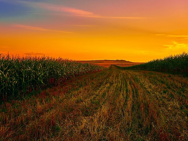 Trećina ukrajinskih polja nespremna za sjetvu zbog rata