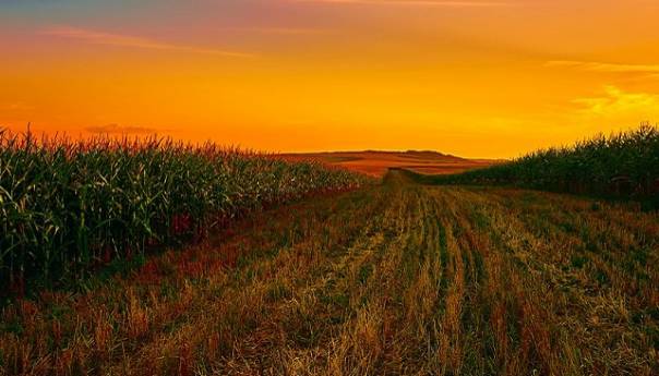 Trećina ukrajinskih polja nespremna za sjetvu zbog rata