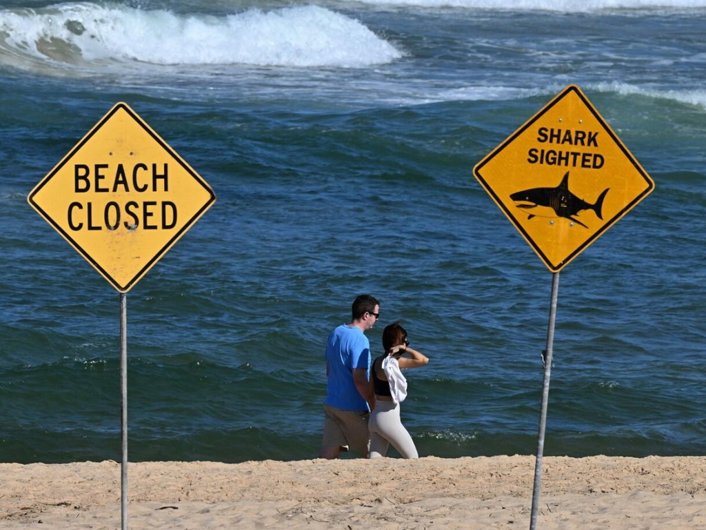 Tri napada u 48 sati: Morski psi stvorili paniku na popularnim plažama