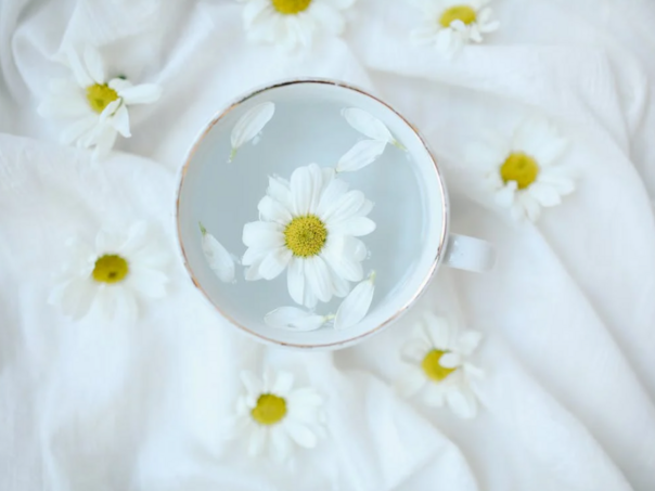 Tri napitka koja mogu poboljšati zdravlje mozga