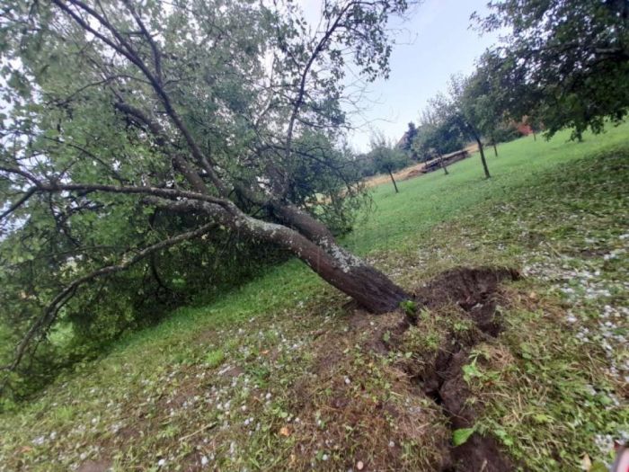 Tri osobe povrijeđene nakon nevremena u Zagrebu