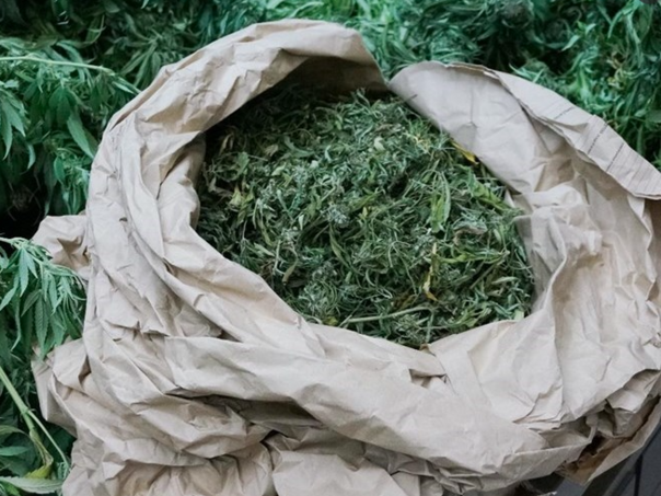 Tri osobe uhapšene u Hrvatskoj zbog nabavke tone marihuane i pranja novca