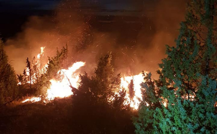 Tri požara bukte u šumi kod Konjica