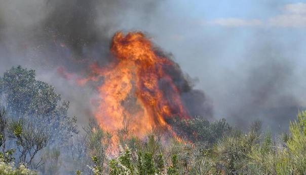Tri požara u Hrvatskoj, evakuacija kod Šibenika