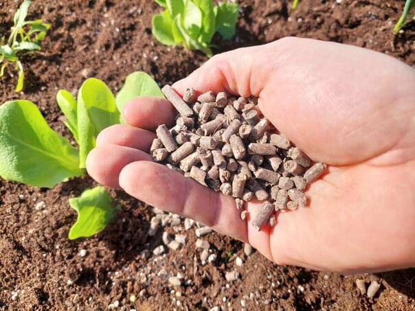 Trik iz kuhinje: Ova tečnost iz lonca čini čuda za vaše biljke