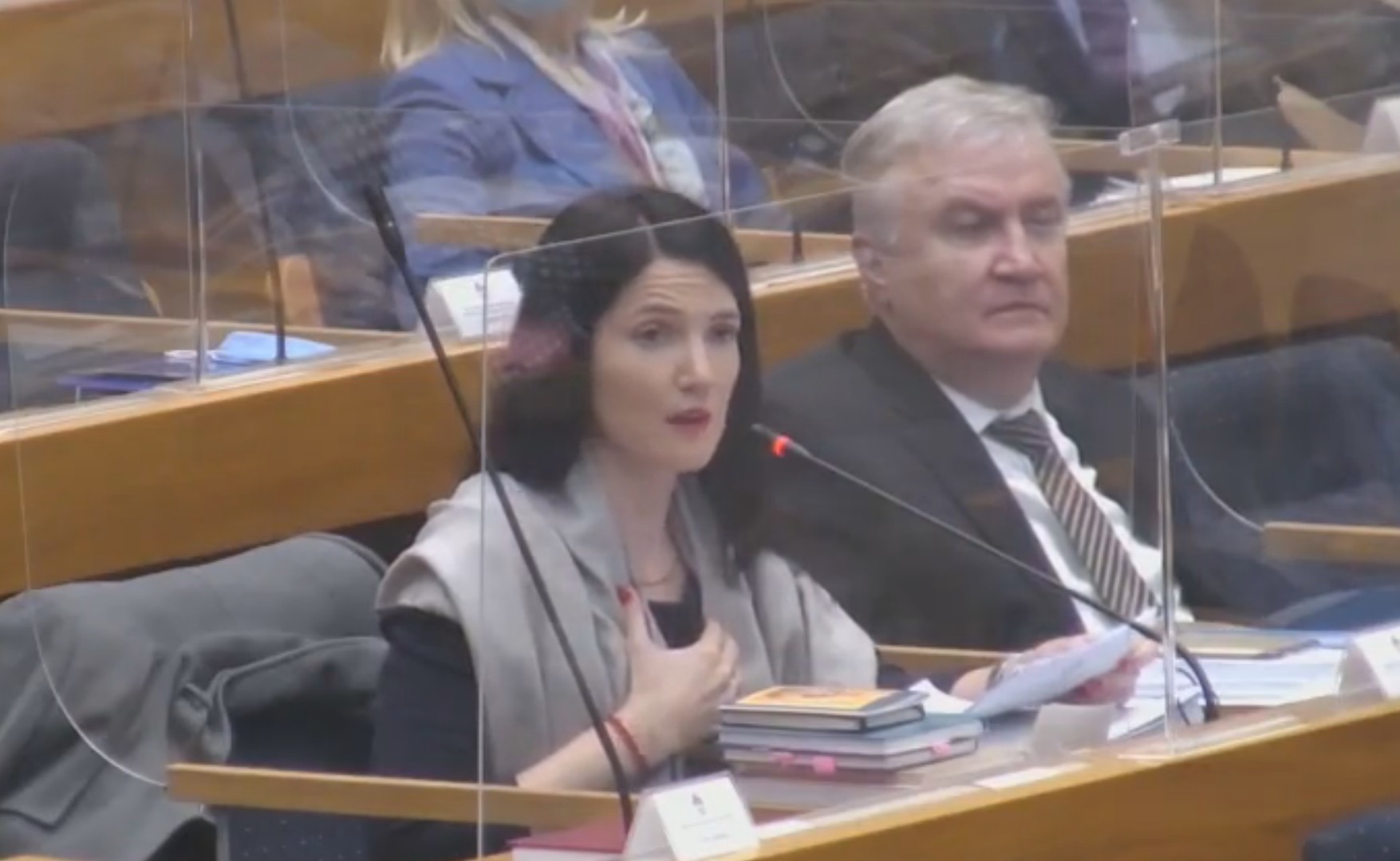 Trivić: Treći entitet je hrvatska greška iz ‘90.