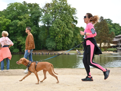 "Trka na šest nogu": Održano spektakularno takmičenje sa ljubimcima