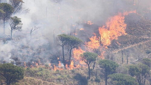 Troje poginulih u požarima na Siciliji
