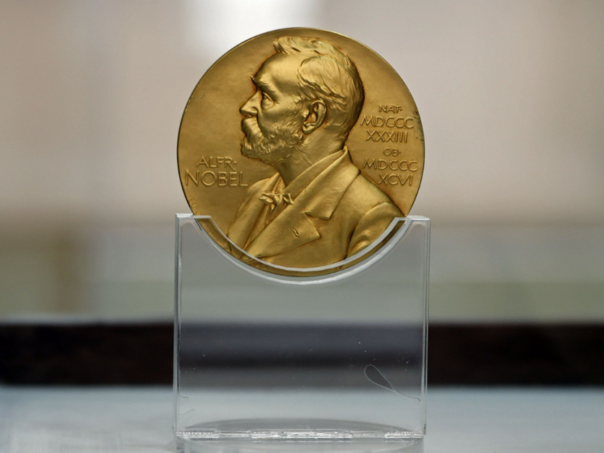 Trojica naučnika osvojila Nobelovu nagradu za hemiju za stvaranje novih materijala