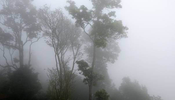 Tropska oluja Elsa ojačala u uragan