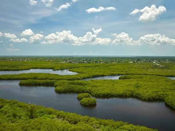 Trump napušteni aerodrom na Floridi pretvara u 'Aligator Alcatraz'