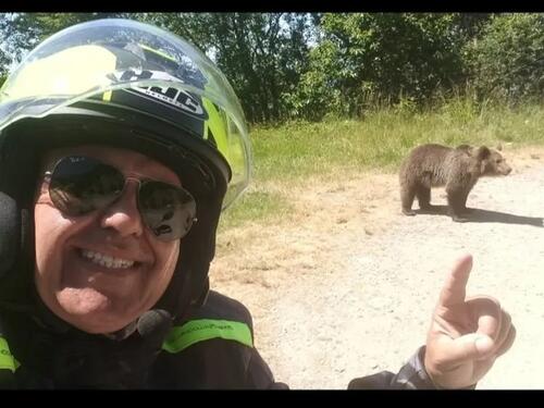 Turista stao da se uslika sa medvjedom, on ga odvukao u šumu i ubio