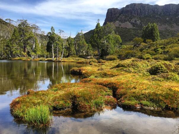 Vještačka inteligencija napravila grešku: Turisti tražili nepostojeće termalne izvore