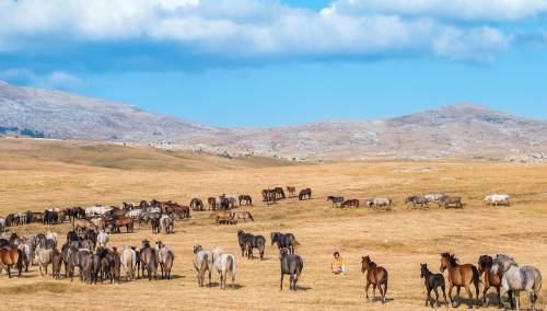 Turizam će i nakon korona-krize biti velika prilika za bh. ekonomiju