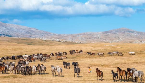 Turizam će i nakon korona-krize biti velika prilika za bh. ekonomiju