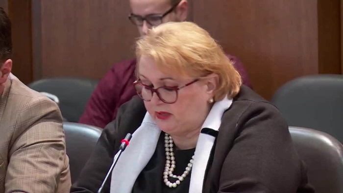 Turković: Da BiH sa 100.000 KM pomogne narodu Turske