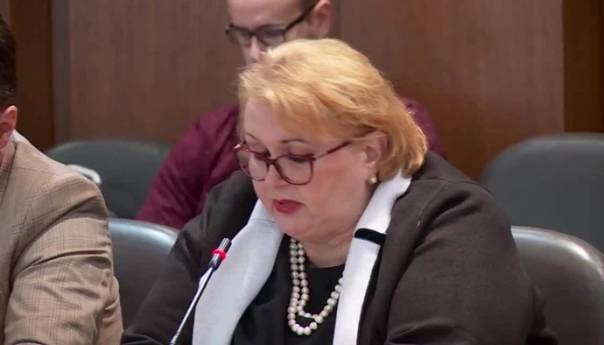 Turković: Da BiH sa 100.000 KM pomogne narodu Turske