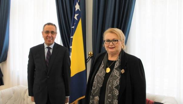 Turković i egipatski ambasador: Ekonomija i turizam u fokusu buduće saradnje