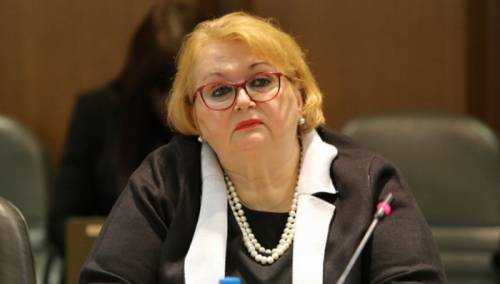 Turković o državljanima BiH: Moje kolege smatraju da to nije humanitarni let, ja smatram da jeste