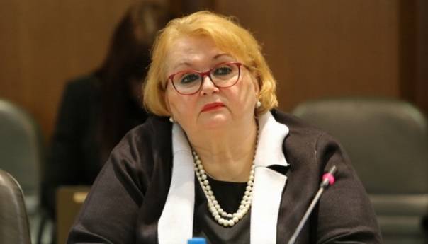 Turković o državljanima BiH: Moje kolege smatraju da to nije humanitarni let, ja smatram da jeste