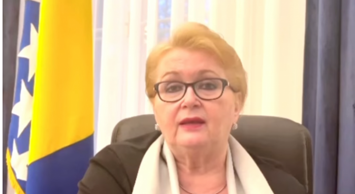 Turković pozvala dijasporu da glasa: Opći izbori su ključni za budućnost BiH