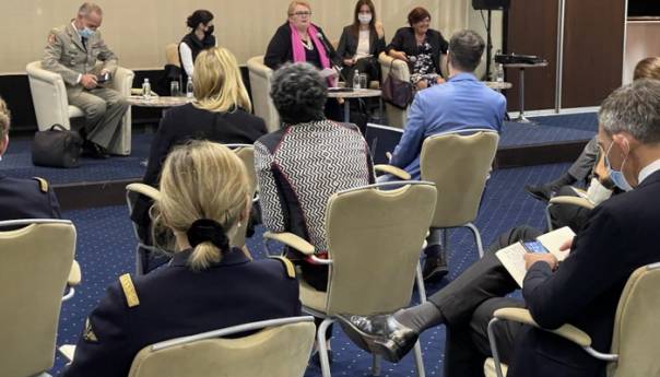 Turković se obratila članovima francuskog Instituta Nacionalne odbrane (IHEDN)