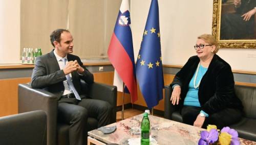 Turković u Ljubljani: Bez stabilne BiH, nema stabilnog regiona