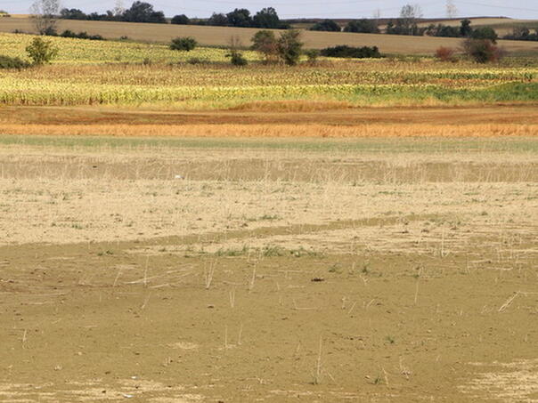 Turska se suočava s jednom od najtežih suša u decenijama